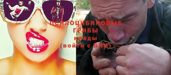 МДПВ Армянск