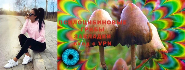 apvp Аркадак