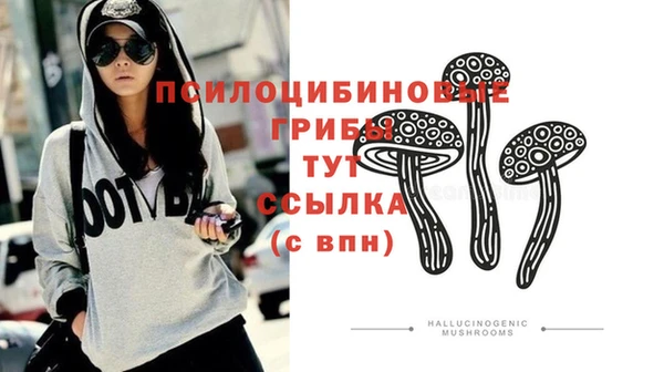 apvp Аркадак