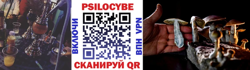 Галлюциногенные грибы ЛСД  где найти наркотики  Приморск 
